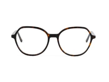 Antonia 502